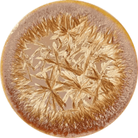 SG proxima centauri 140ml