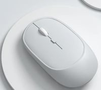 mouse
