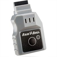 وصلة واي فاي رين بيرد