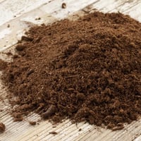 تربة البيتموس Peat moss (مخصب)