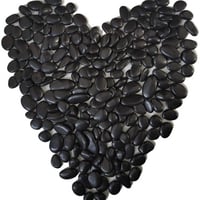 صخور نهرية سوداء للزينة