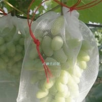 أكياس حماية الثمار