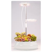 إضاءة الملاك لنمو النباتات