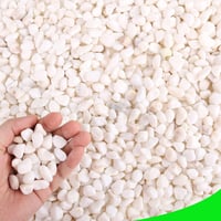 صخور ثلجية طبيعية للزينة