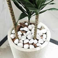 صخور ثلجية طبيعية للزينة