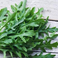 بذور الهندباء الاخضر