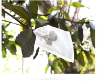 أكياس حماية الثمار