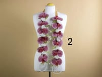 عقد التخرج بالاسم- متجر الرياض