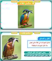 علوم الصف الثاني الوحدة الثانية الفصل الثالث الدرس...