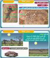 علوم الصف الخامس - مصادر الطاقة