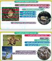 علوم الصف الثالث الدرس الثاني: تغيرات تؤثر في المخ...