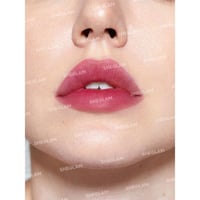 شجلام تنت الشفاه والخدود فور ذا فلش إتس تشيلي - 6...