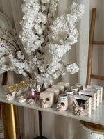 عرض 24 قطعة توزيعات