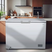 اكسبير فريزر افقي 11.2 قدم مكعب فضي FRXP595S