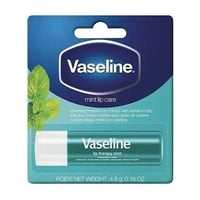 فازلين مرطب شفايف 4.8 غ نعناع