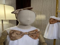 طوق الفيرومارتيني