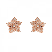 أليسيا بون - حلق ليزا روز جولد AB-083