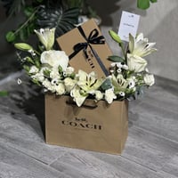 تنسيق كيس كوتش