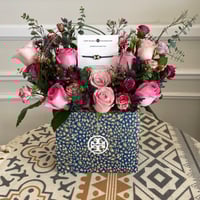 بكج توري بورش