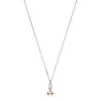 سلسال اقنر فضي ذهبي Aigner