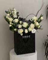 تنسيق كيس روبرتو كفالي