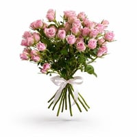 باقة بيبي روز | 10 اغصان