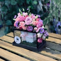 تنسيق داخل صندوق زجاجي