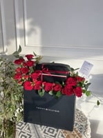 بكج شنطة تومي هيلفيغر - رجالي