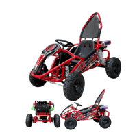 ️ باجي كهربائي عصري 48v