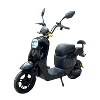 دباب كهربائي مميز 48V