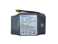 بطارية سكوتر 36 ، 48 فولت