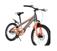 دراجة مقاس 20