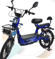 دراجة كهربائية 20 بوصة ببطارية 48 فولت وقوة 500W