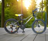 دراجة بانوير مقاس 20