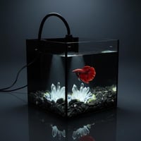 بوكس الكريستال