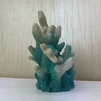 المرجان الأزرق