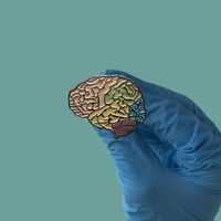 بروش الدماغ