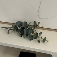 اعواد ورد علبه