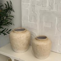 مزهرية ورد بيج