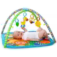 صالة ألعاب حديقة الحيوان السريعة