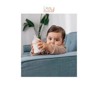 مجموعة سوافينكس المتكاملة