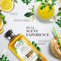 شامبو زيت جولدن مورينجا المجدد للنعومة من هيربل اي...