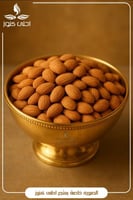 بذور المشمش الحلو