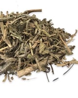 عشبة لسان الثور