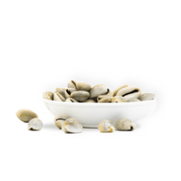 ودع مغربي 100 جرام