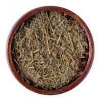 عشبة شيح بلدي