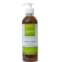 شامبو أورق الزيتون من ماندي كير 400 مل