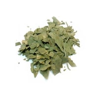 عشبة الجنكا