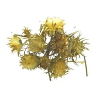 شوكة الجمل 250جرام ( حليب الشوك او الحرشيف البري )...