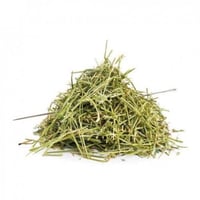 عشبة المدينة